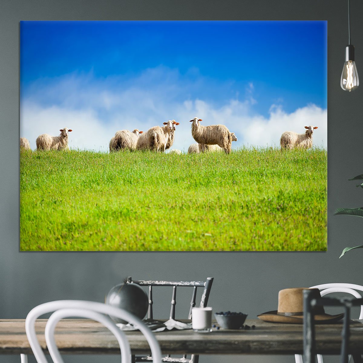 Two sheep looking at camera standing in herd Canvas Print or Poster