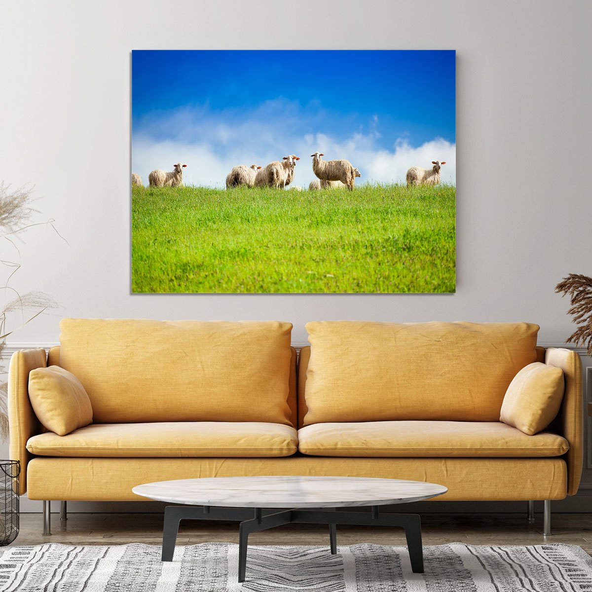Two sheep looking at camera standing in herd Canvas Print or Poster