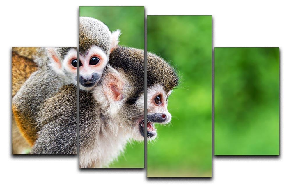 Two squirrel monkeys 4 Split Panel Canvas - Canvas Art Rocks - 1