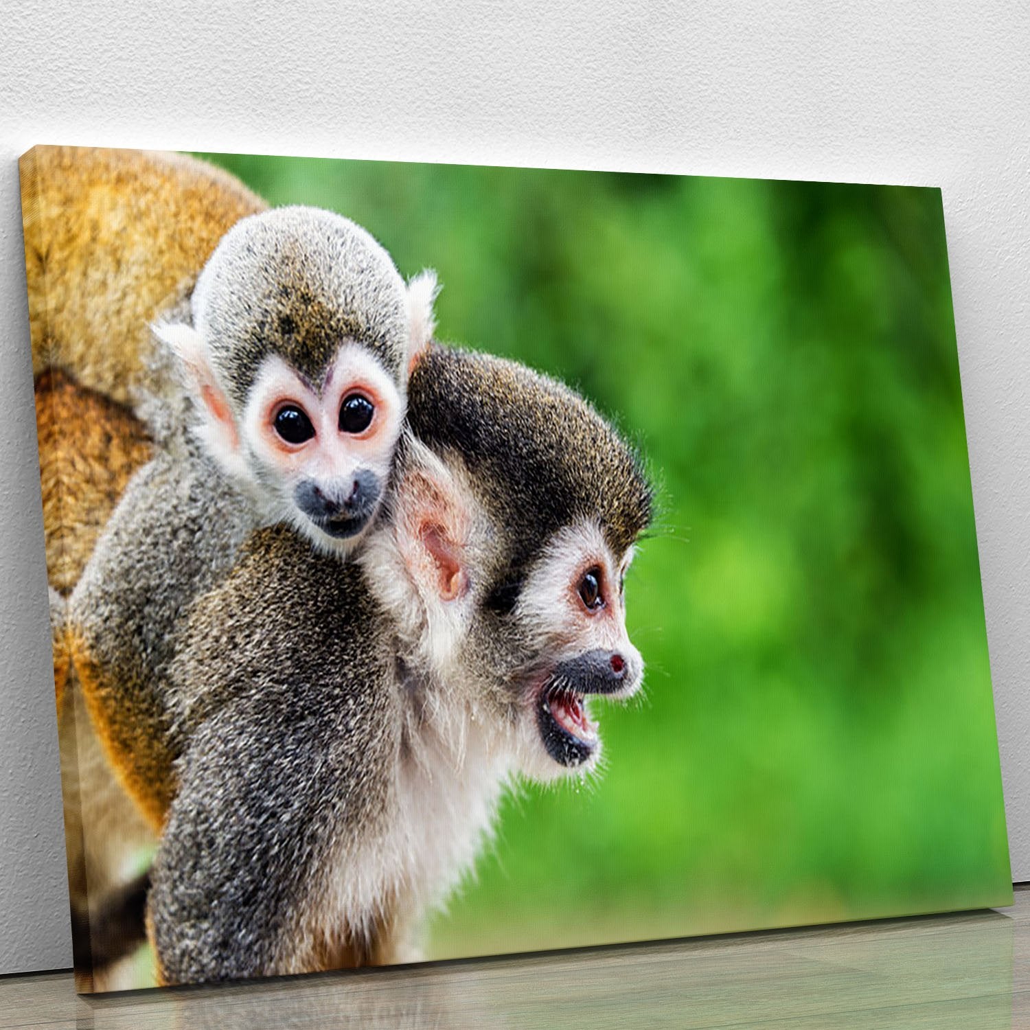 Two squirrel monkeys Canvas Print or Poster