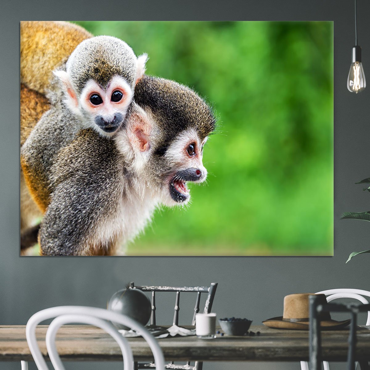 Two squirrel monkeys Canvas Print or Poster