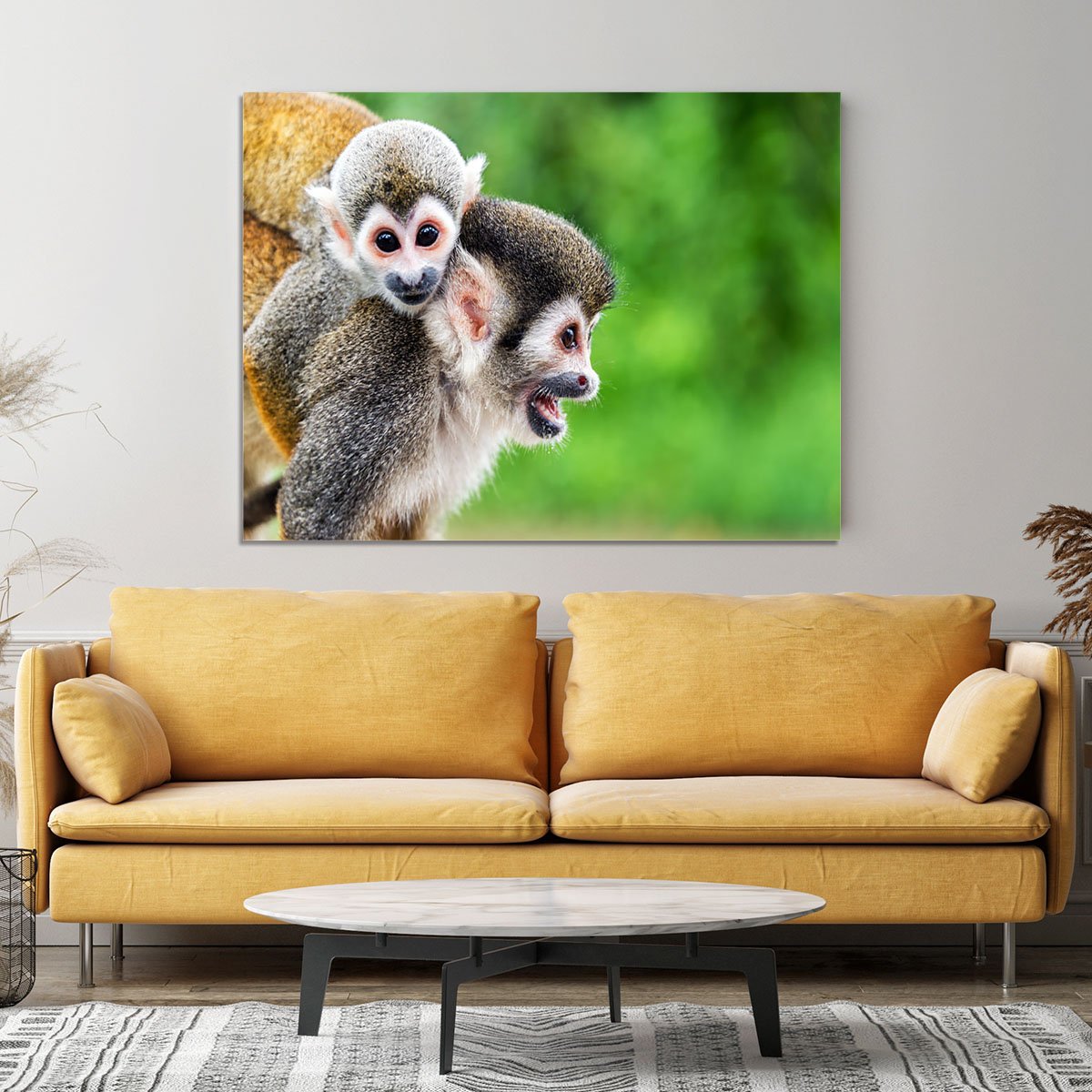 Two squirrel monkeys Canvas Print or Poster