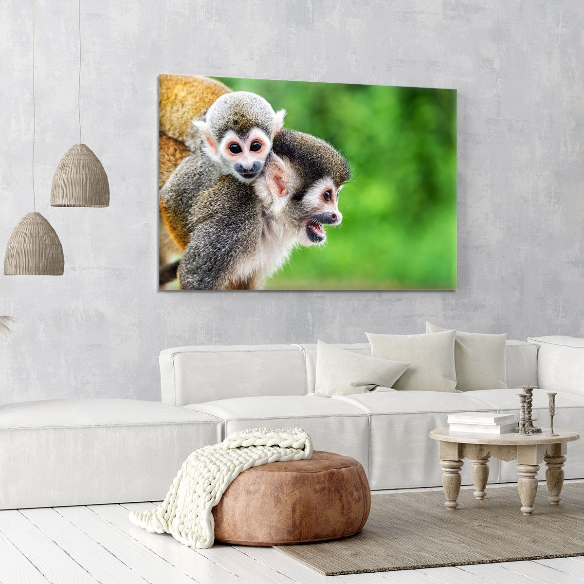 Two squirrel monkeys Canvas Print or Poster