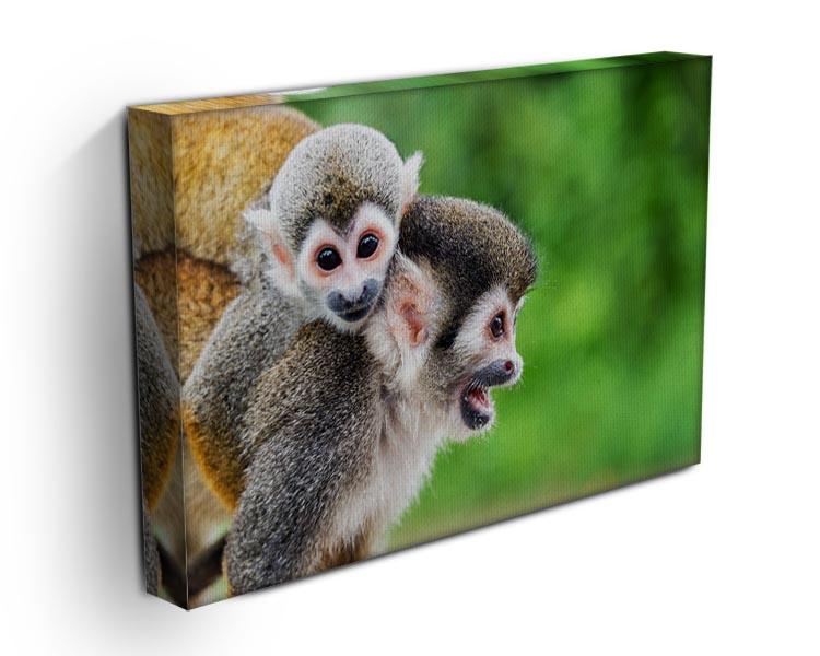 Two squirrel monkeys Canvas Print or Poster - Canvas Art Rocks - 3