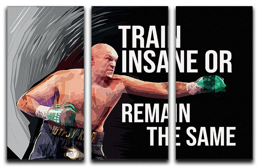 Tyson Fury Gypsy King 3 Split Panel Canvas Print - Canvas Art Rocks - 1