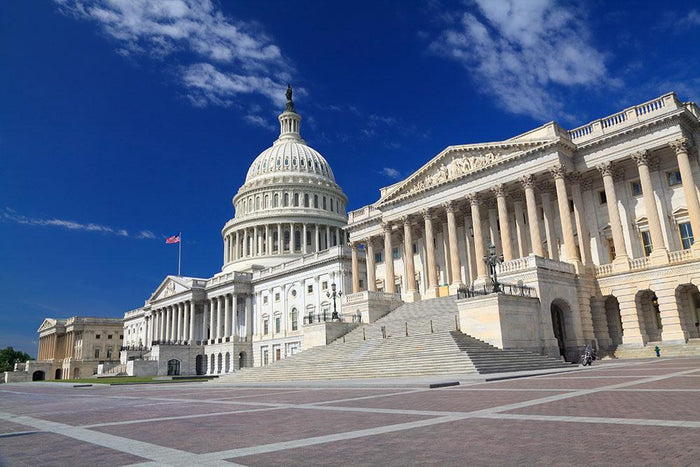 US Capitol Washington DC Wall Mural Wallpaper