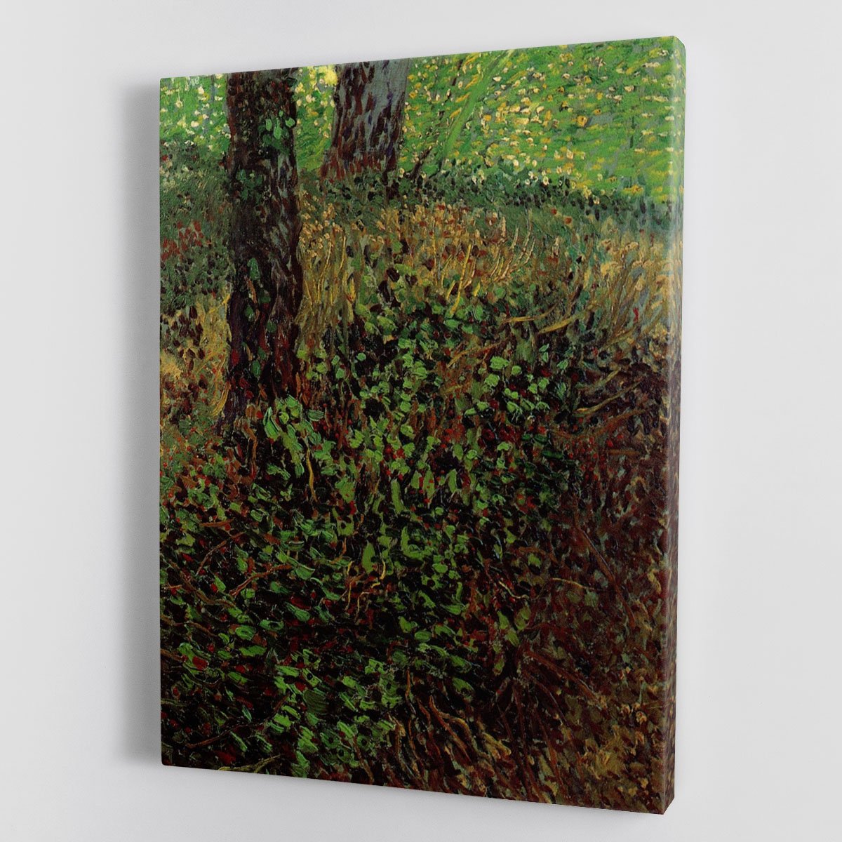 Undergrowth by Van Gogh Canvas Print or Poster