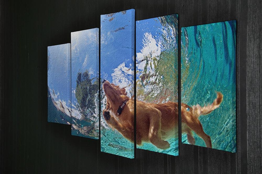 Underwater photo of golden labrador retriever puppy 5 Split Panel Canvas - Canvas Art Rocks - 2