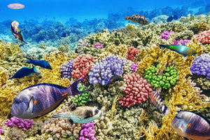 Underwater world with corals and tropical fish Wall Mural Wallpaper - Canvas Art Rocks - 1