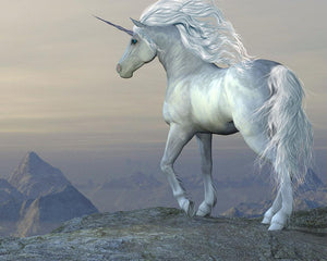Unicorn Bluff Wall Mural Wallpaper - Canvas Art Rocks - 1