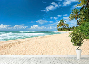 Untouched sandy beach with palms trees Wall Mural Wallpaper - Canvas Art Rocks - 4