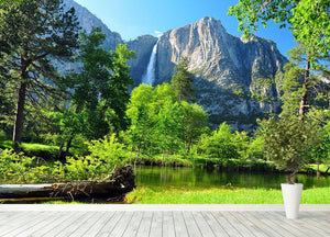 Upper Yosemite Falls Wall Mural Wallpaper - Canvas Art Rocks - 4