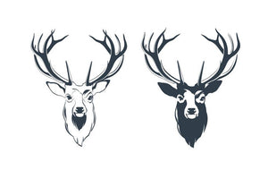 Vector Illustration of a Male Red Deer Head Wall Mural Wallpaper - Canvas Art Rocks - 1