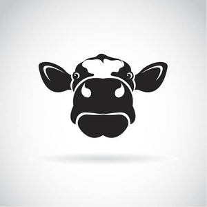 Vector image of an cow Wall Mural Wallpaper - Canvas Art Rocks - 1