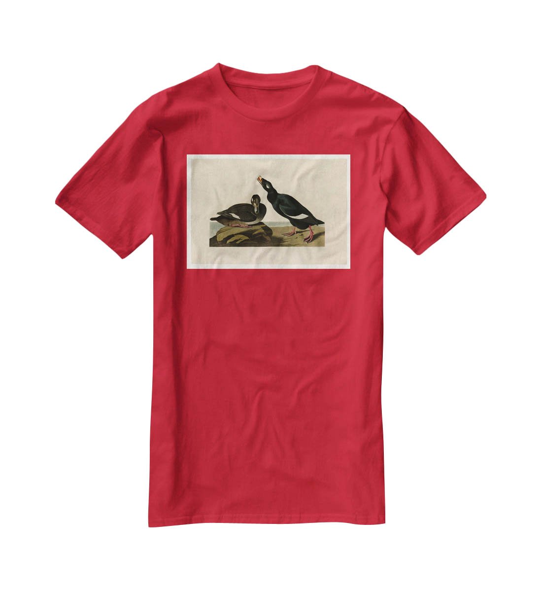 Velvet Duck by Audubon T-Shirt - Canvas Art Rocks - 4