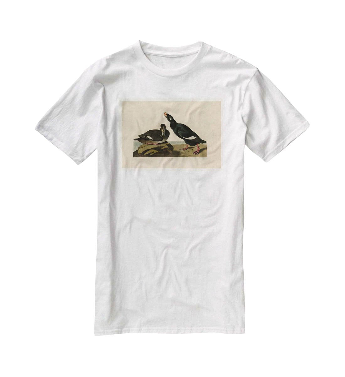 Velvet Duck by Audubon T-Shirt - Canvas Art Rocks - 5