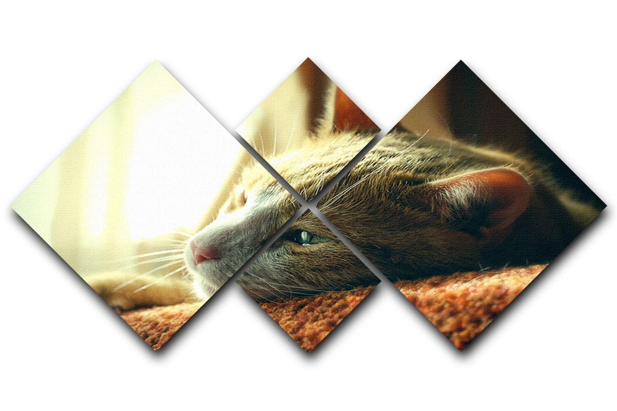 Very Sad Red Cat 4 Square Multi Panel Canvas - Canvas Art Rocks - 1
