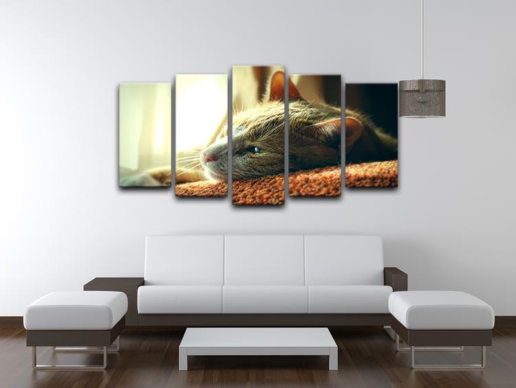 Very Sad Red Cat 5 Split Panel Canvas - Canvas Art Rocks - 3