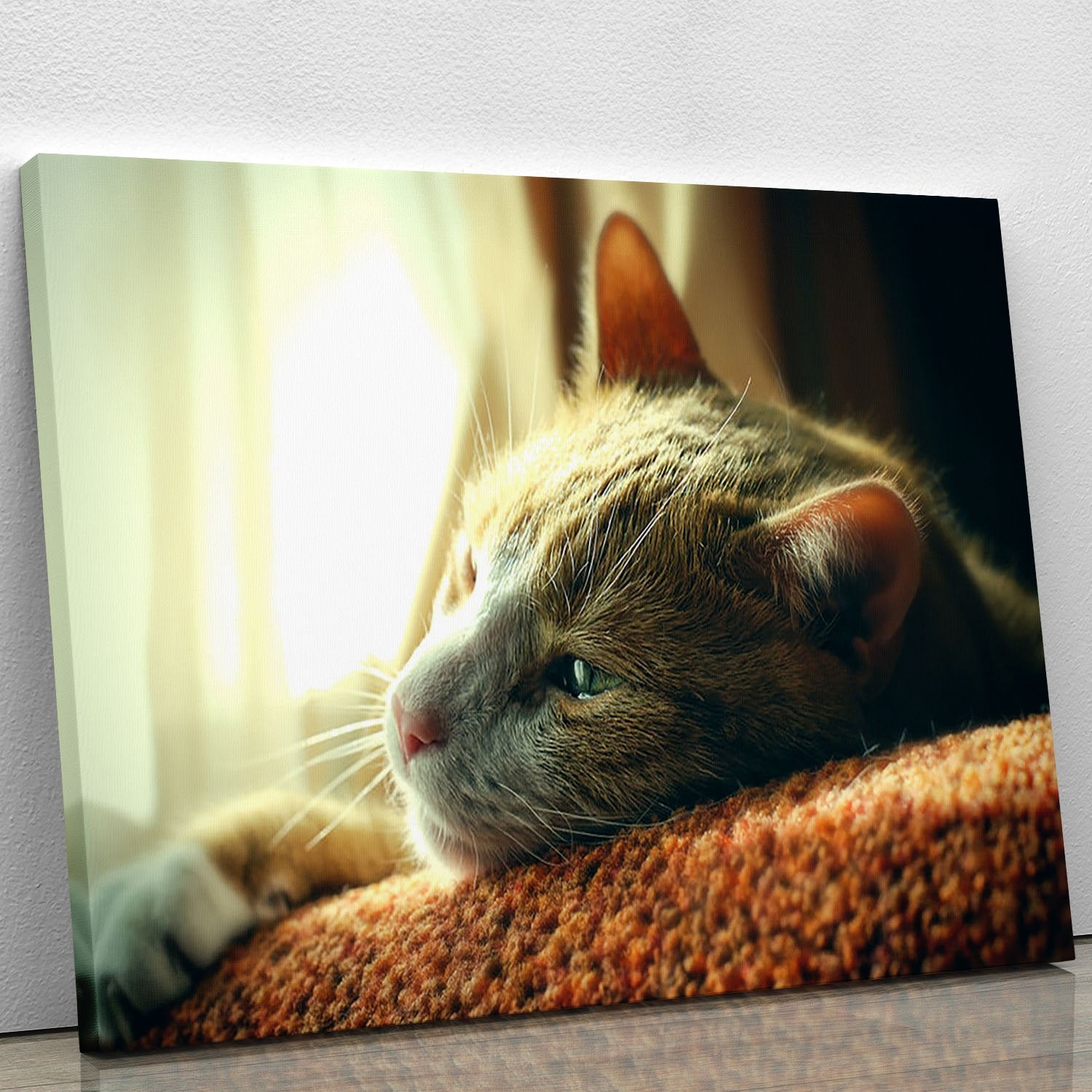 Very Sad Red Cat Canvas Print or Poster