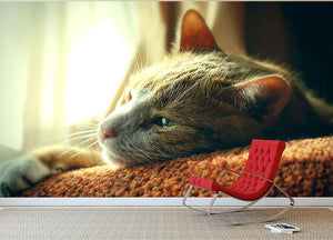 Very Sad Red Cat Wall Mural Wallpaper - Canvas Art Rocks - 2
