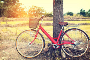 Vintage red bicycle Wall Mural Wallpaper - Canvas Art Rocks - 1