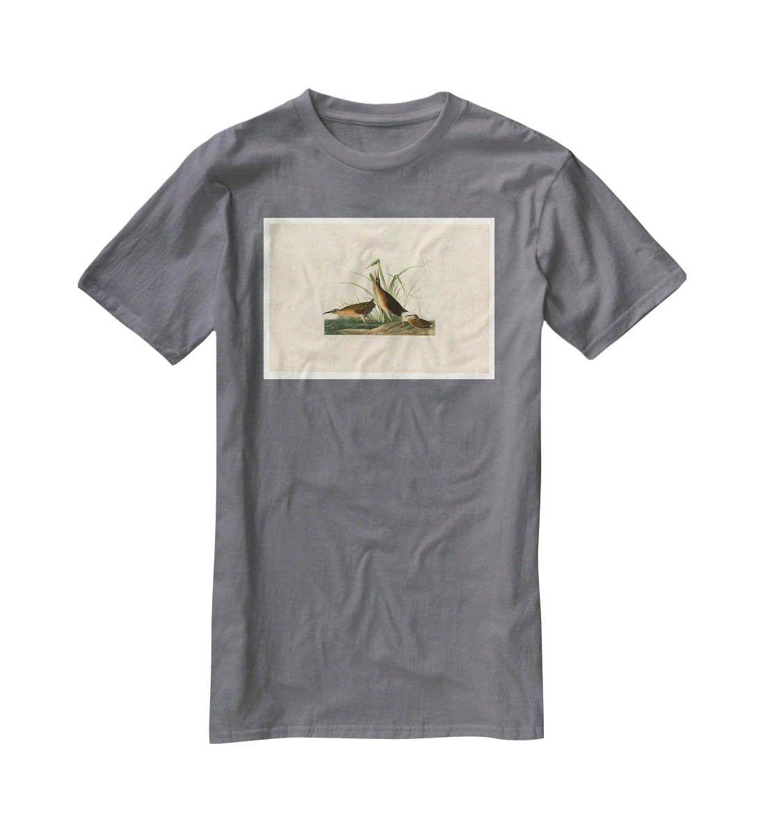 Virginia Rail by Audubon T-Shirt - Canvas Art Rocks - 3