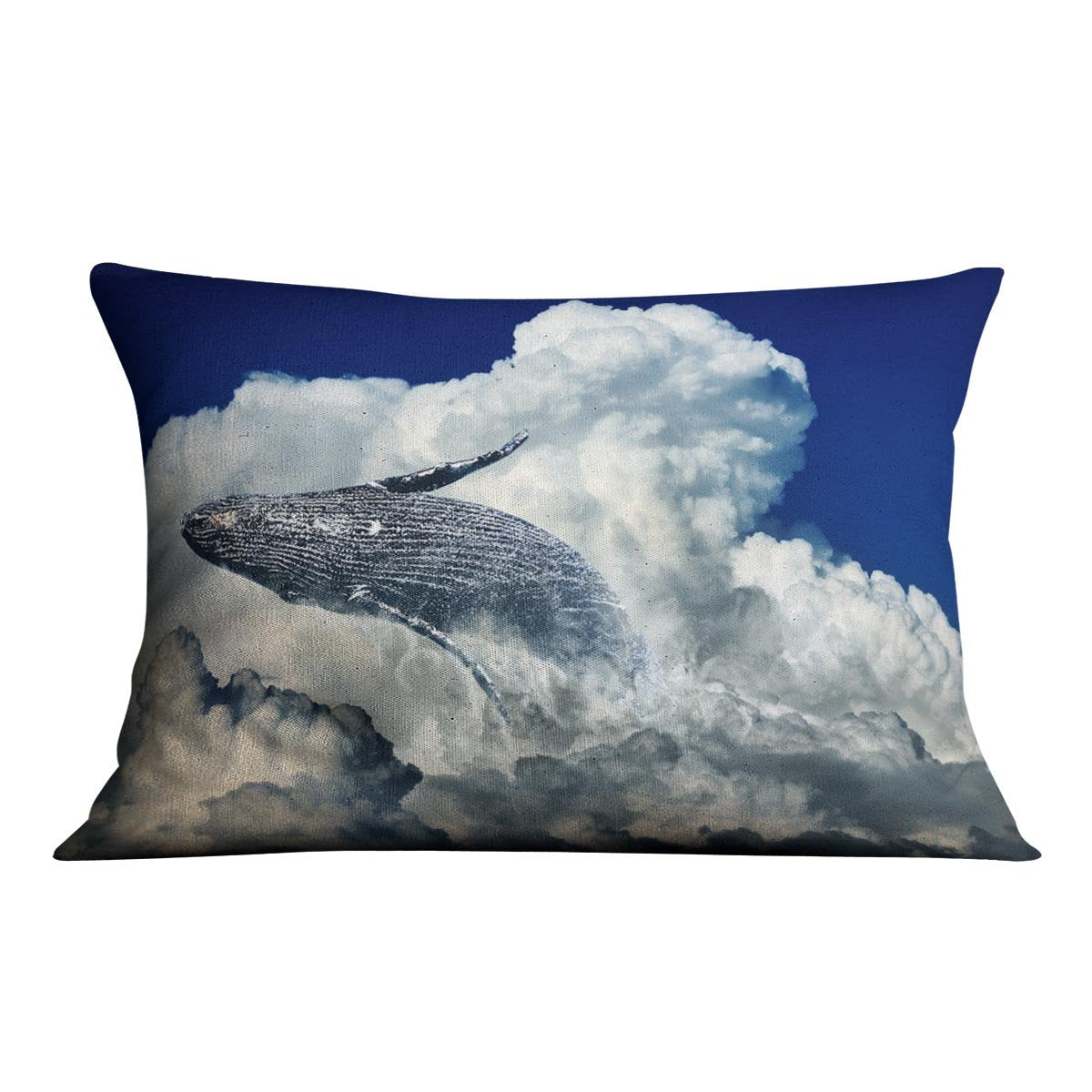 Wale Sky Cushion