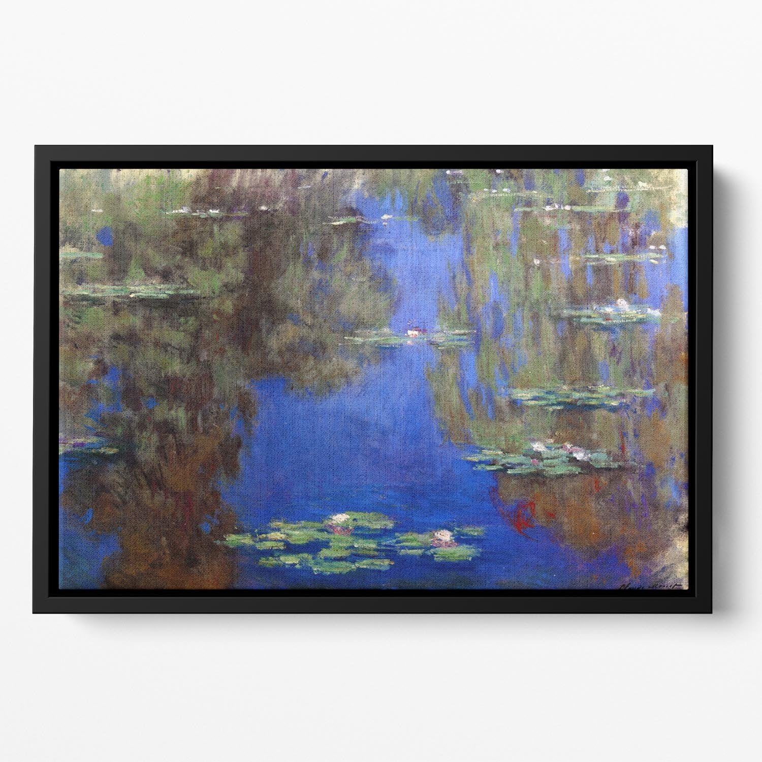 Water Lilies 6 By Manet Floating Framed Canvas