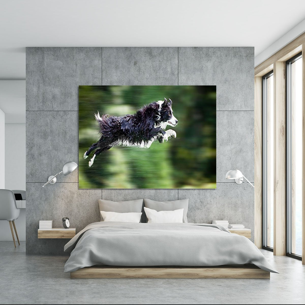 Wet border collie dog in midair Canvas Print or Poster
