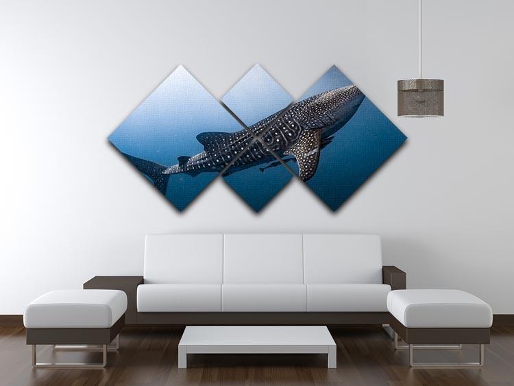 Whale Shark very near 4 Square Multi Panel Canvas  - Canvas Art Rocks - 3