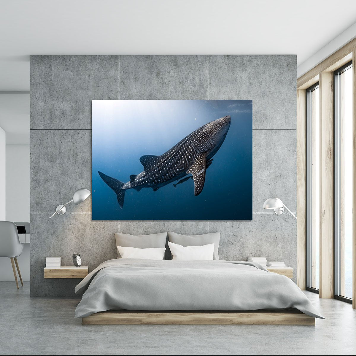 Whale Shark very near Canvas Print or Poster