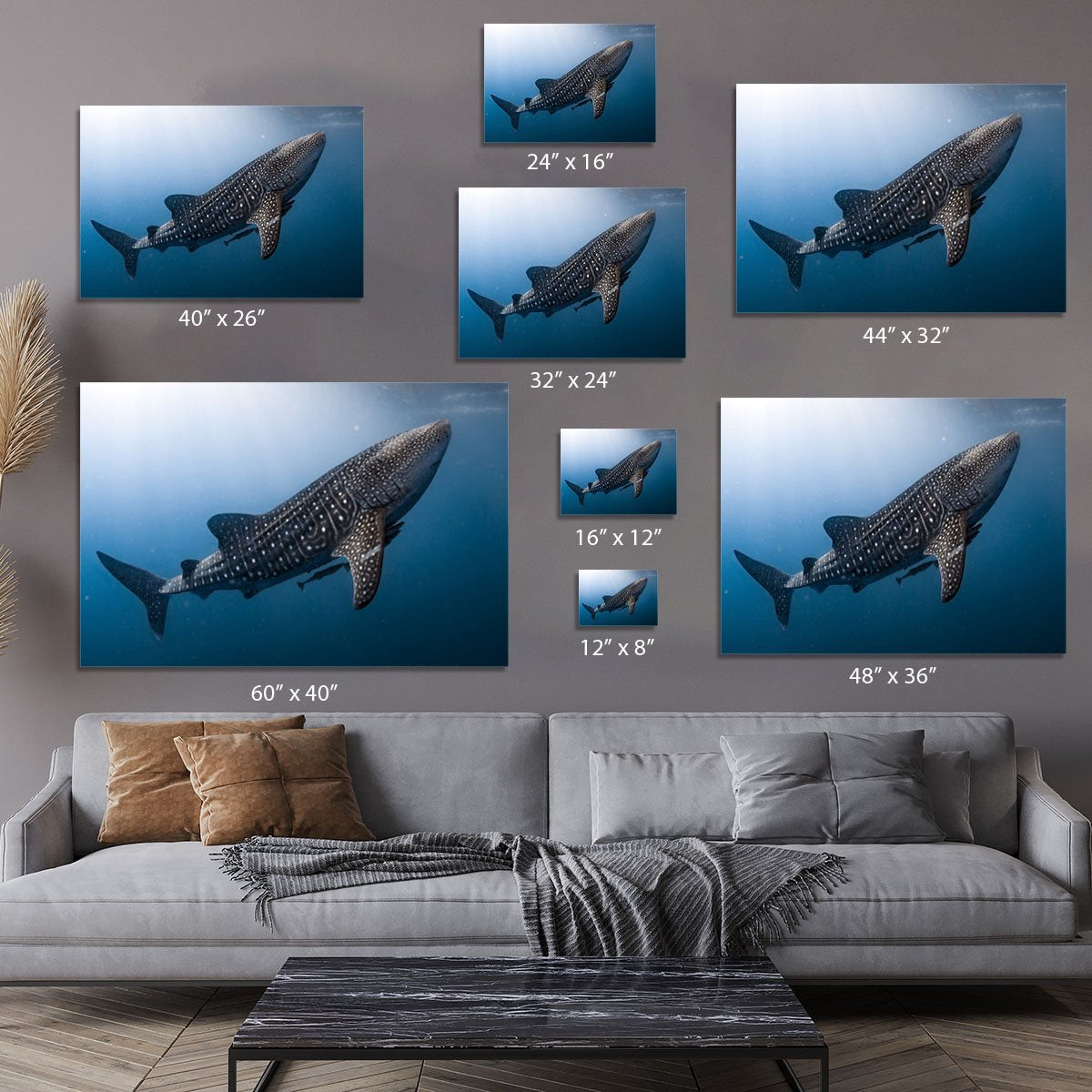 Whale Shark very near Canvas Print or Poster