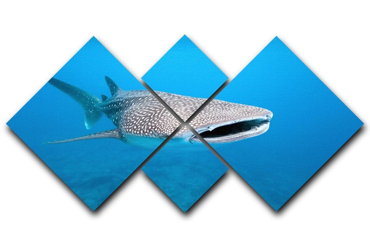Whale shark 4 Square Multi Panel Canvas  - Canvas Art Rocks - 1