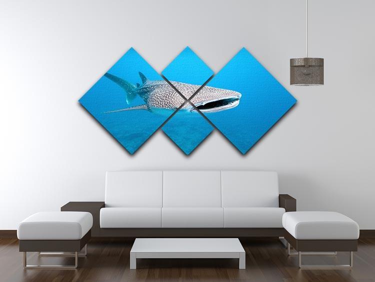 Whale shark 4 Square Multi Panel Canvas  - Canvas Art Rocks - 3