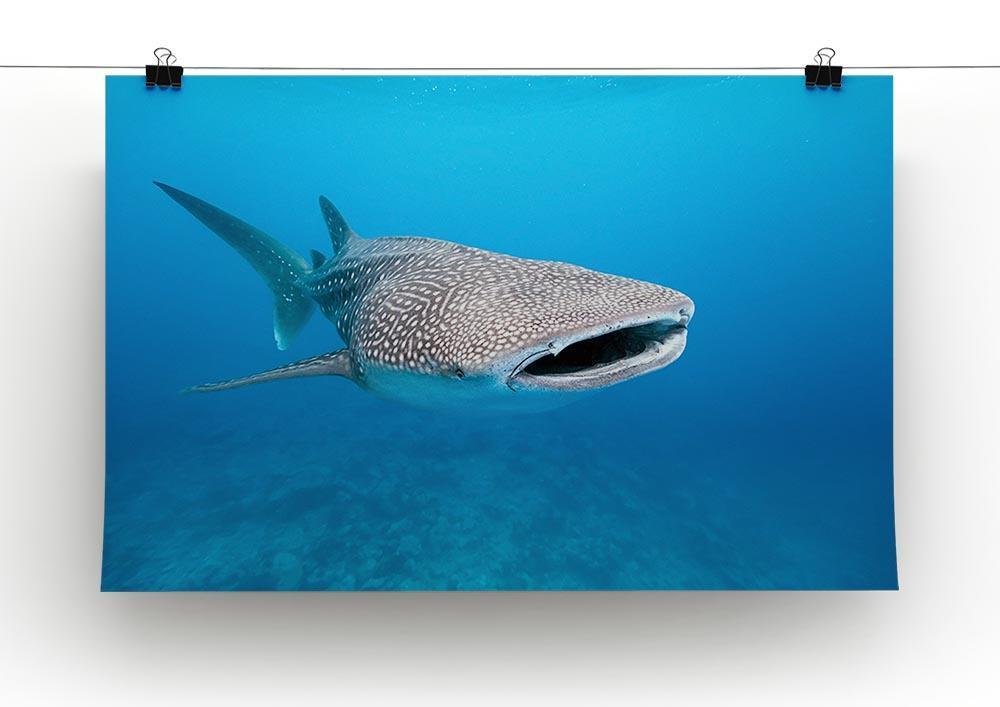 Whale shark Canvas Print or Poster - Canvas Art Rocks - 2