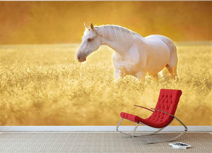 White Orlov trotter horse in rye Wall Mural Wallpaper - Canvas Art Rocks - 2