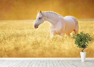 White Orlov trotter horse in rye Wall Mural Wallpaper - Canvas Art Rocks - 4