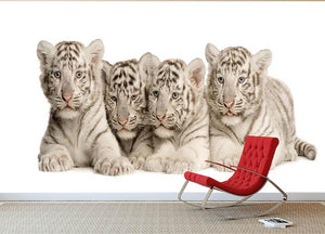 White Tiger cubs 2 months Wall Mural Wallpaper - Canvas Art Rocks - 2
