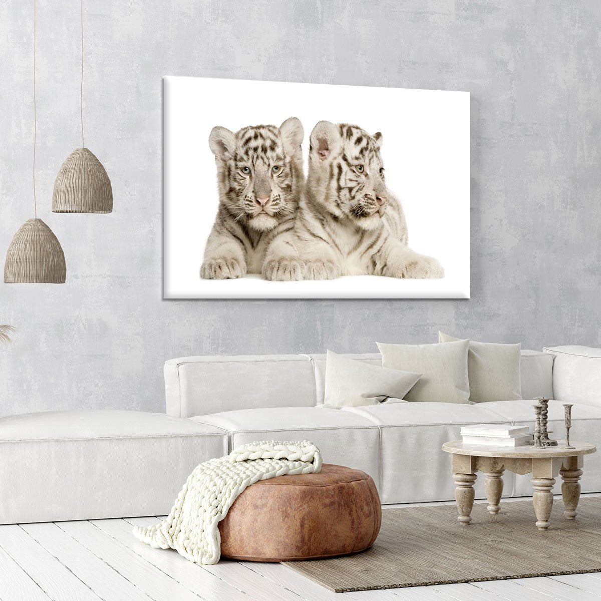 White Tiger cubs Canvas Print or Poster