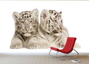 White Tiger cubs Wall Mural Wallpaper - Canvas Art Rocks - 2