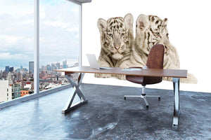 White Tiger cubs Wall Mural Wallpaper - Canvas Art Rocks - 3