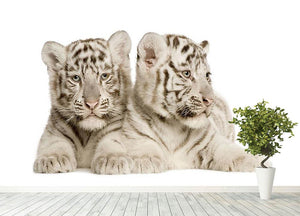 White Tiger cubs Wall Mural Wallpaper - Canvas Art Rocks - 4