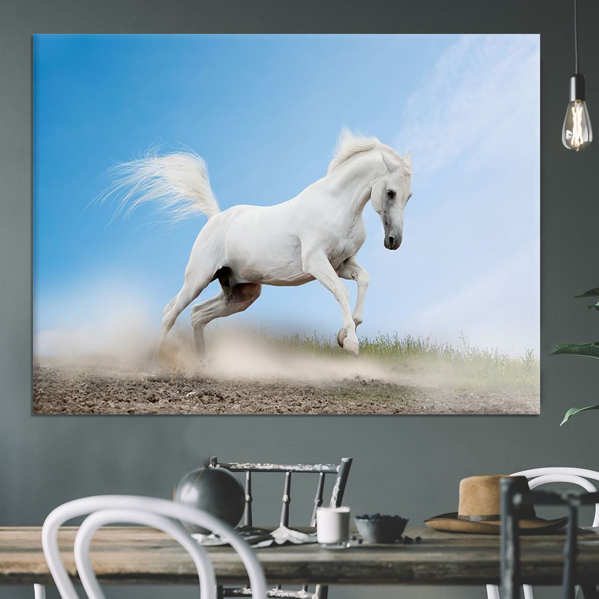 White arabian horse Canvas Print or Poster