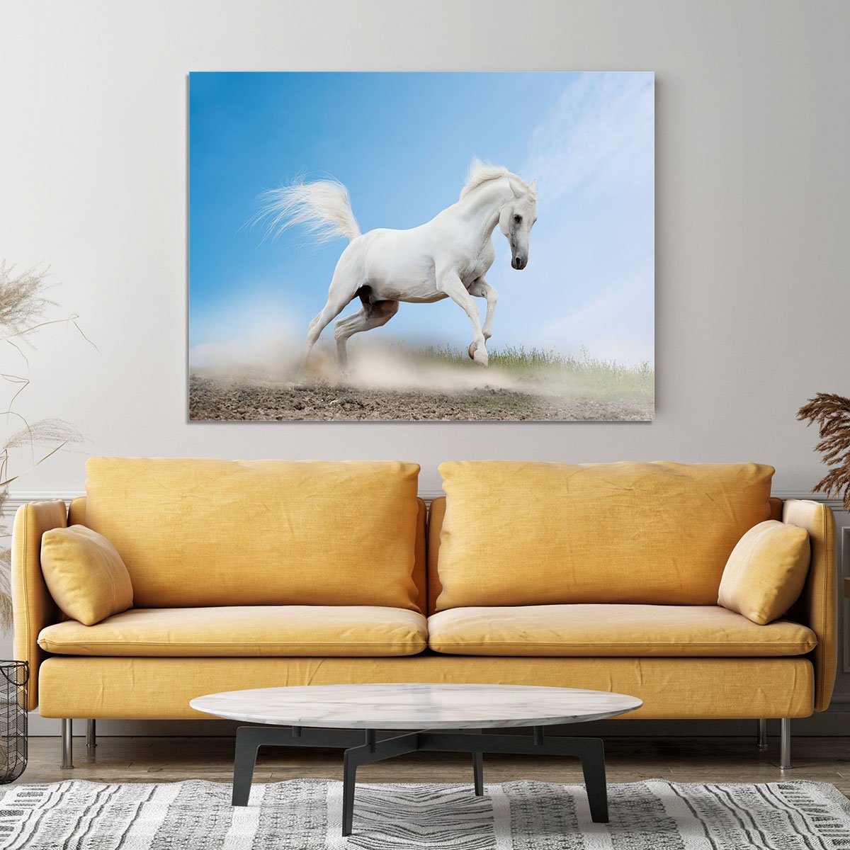 White arabian horse Canvas Print or Poster