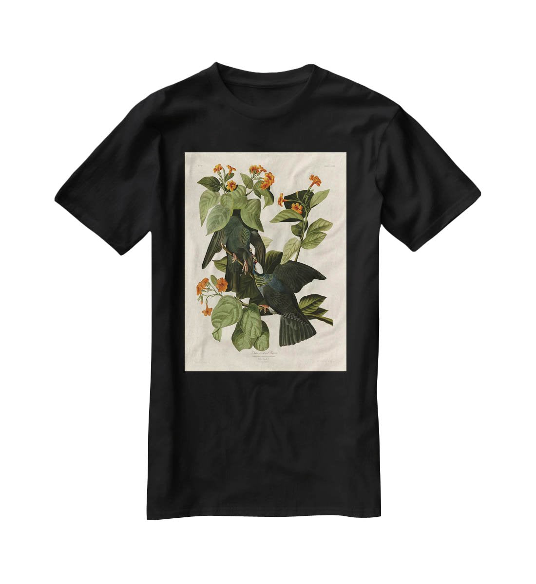 White crowned Pigeon by Audubon T-Shirt - Canvas Art Rocks - 1