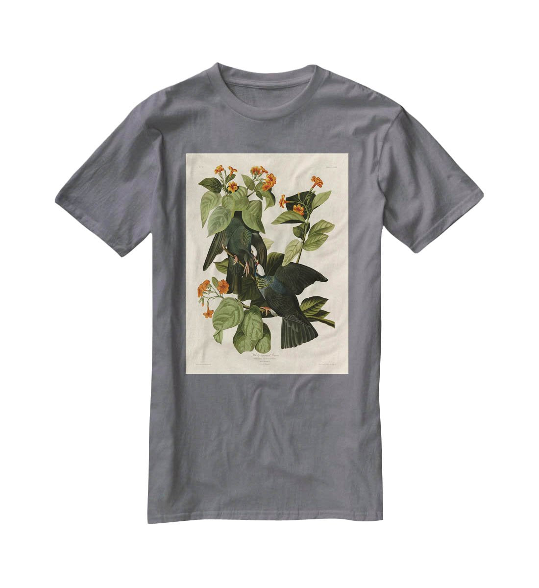 White crowned Pigeon by Audubon T-Shirt - Canvas Art Rocks - 3