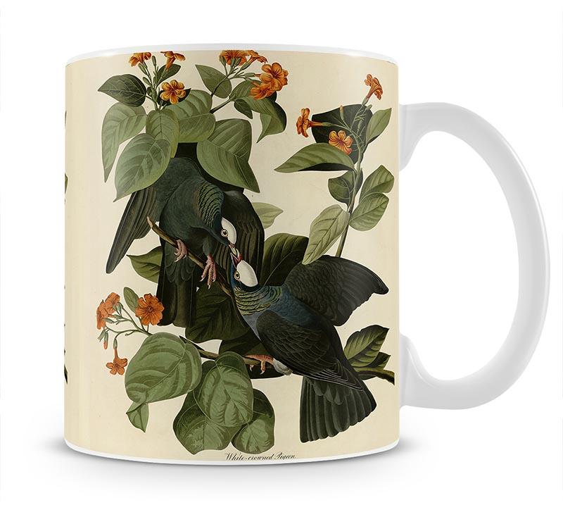 White crowned Pigeon by Audubon Mug - Canvas Art Rocks - 1