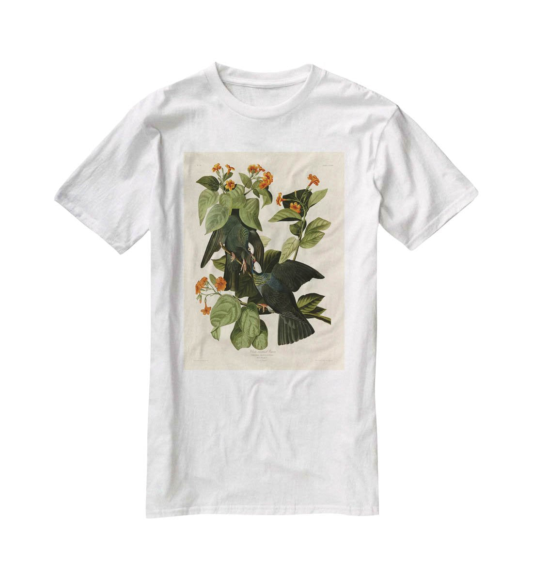White crowned Pigeon by Audubon T-Shirt - Canvas Art Rocks - 5