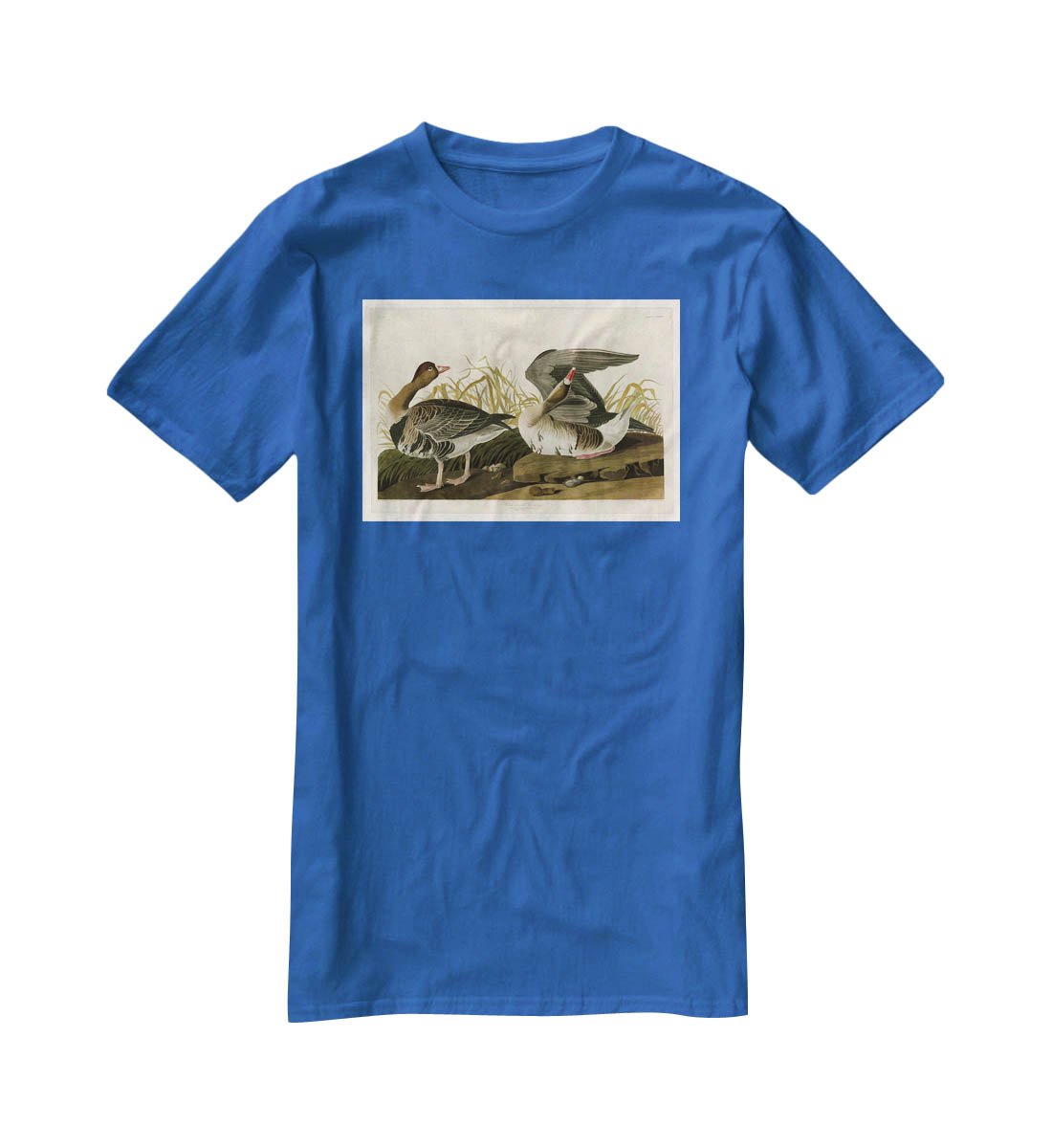 White fronted Goose by Audubon T-Shirt - Canvas Art Rocks - 2