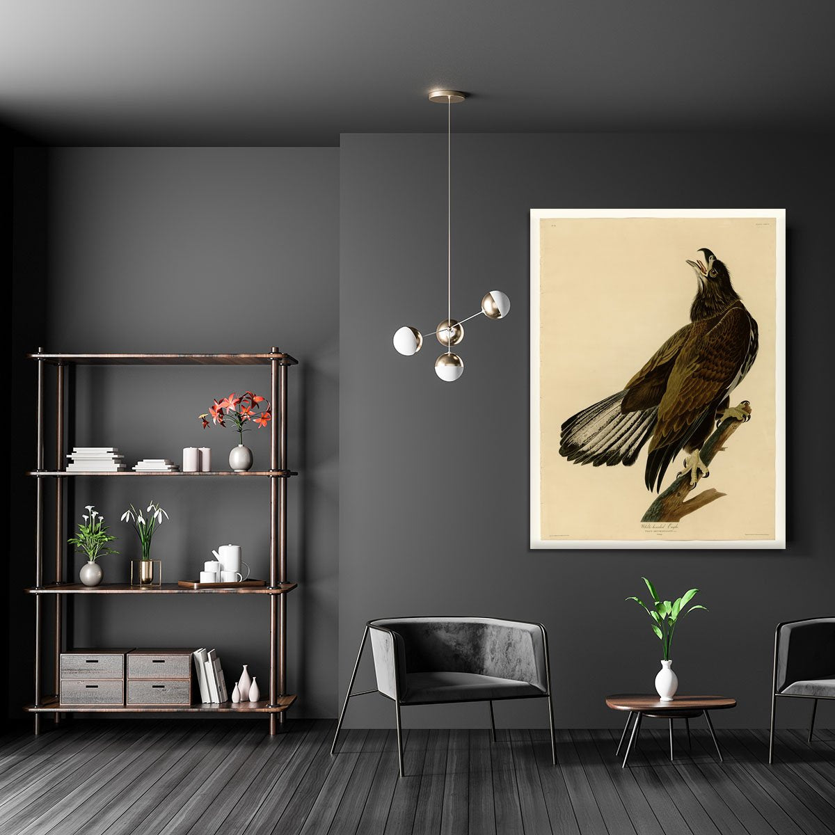 White headed Eagle 2 by Audubon Canvas Print or Poster